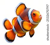 A vibrant clownfish swimming in open water, isolated on a plain white background