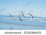 a vibrant coastal scene with a large flock of seagulls gathered at the water