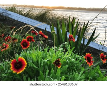 A vibrant coastal scene at sunset with vivid red wildflowers, lush greenery, tall grasses, and calm waters creating a serene and picturesque atmosphere. - Powered by Shutterstock