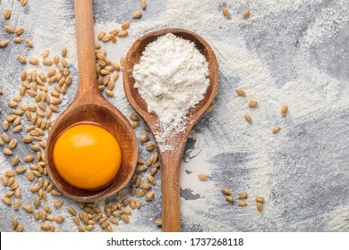 Vibrant Color Egg Yolk And Wheat Flour Arrangement Of Ingredients In Two Old Rustic Wooden Spoons And Wheat Seeds Spilled On Old Gray Kitchen Table At Cooking Process Overhead Studio Shot