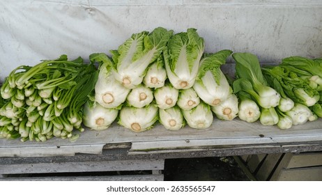 A vibrant display fresh green vegetables, including napa cabbage, bok choy, gai lan, sits neatly arranged a market stall.