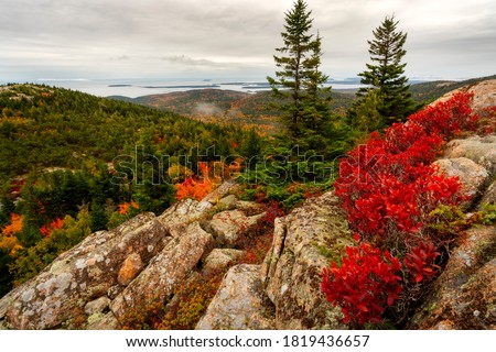 Vibrant fall colors at Acadia National Park near the peak of the mountain on an overcast day with bright red orange and yellow colors in the trees and strong foreground interest of three trees
