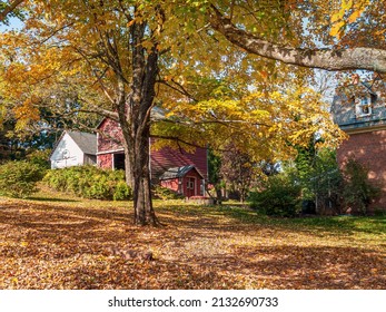 Vibrant Fall Foliage In Rural Bucks County Pennsylvania.