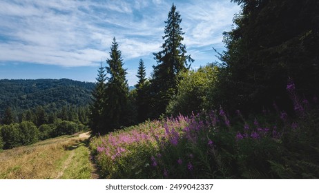 A vibrant field of purple wildflowers dominates the foreground, leading the eye toward dense forest and a rolling mountain range. Above, a clear blue sky adds to the tranquility of the setting. - Powered by Shutterstock