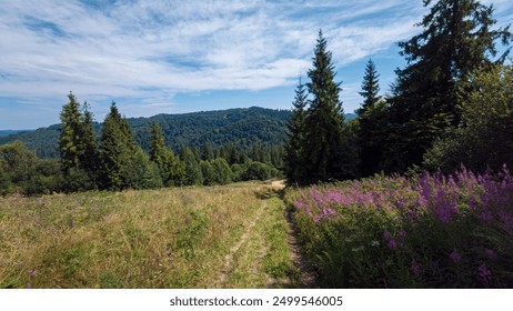 A vibrant field of purple wildflowers dominates the foreground, leading the eye toward dense forest and a rolling mountain range. Above, a clear blue sky adds to the tranquility of the setting. - Powered by Shutterstock