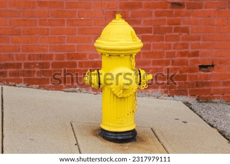 vibrant fire hydrant stands tall on a bustling city street, symbolizing safety, emergency preparedness, and the resilience of urban communities