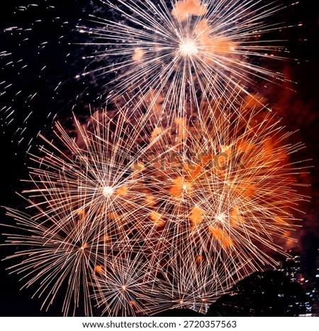Vibrant fireworks exploding in the night sky with bright red, orange, and white bursts above a dark silhouetted landscape, celebrating holidays, festivals, and New Year events.