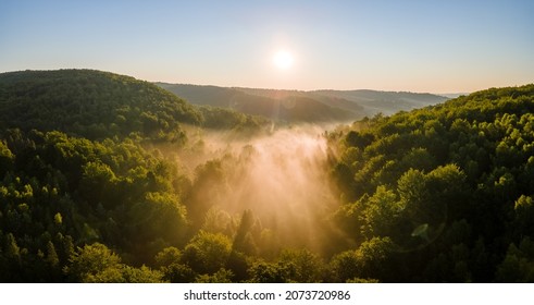 Vibrant Foggy Evening Over Dark Forest Trees At Bright Summer Sunset. Amazingl Scenery Of Wild Woodland At Dusk.