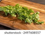 Vibrant Fresh Cilantro (Coriander) Leaves on a Classic Wooden Background - Perfect for Healthy Cooking