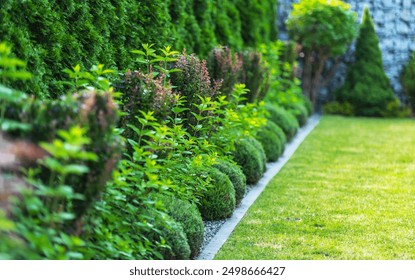 A vibrant garden pathway lined with spherical shrubs and healthy greenery under clear blue skies. - Powered by Shutterstock