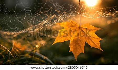 A vibrant golden maple leaf hangs delicately from a spiderweb, illuminated by the warm, soft glow of the rising sun.