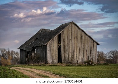 Vibrant green agriculture field with beautiful sunset sky / Old wooden barn in the middle 