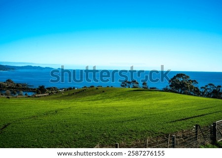 Similar – Image, Stock Photo Serene coastal grasses at sunset in Miami, Florida