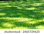 Vibrant Green Grass Lawn in Sunlight with Shadows on a Sunny Day, Perfect for Gardening, Nature, and Outdoor Activity Themes