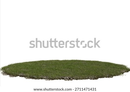 Vibrant green grass patch, slightly irregular oval shape, with textured soil edges, standing alone on isolated background. A versatile cutout element