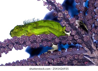 A vibrant green lizard perched atop a flowering plant surrounded by lush foliage - Powered by Shutterstock