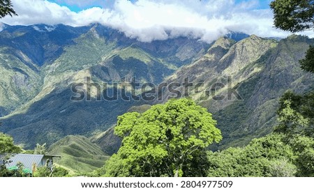 Vibrant green tree overlooking dramatic cloud-covered mountain landscape and deep valleys at Top Station Munnar, Kerala, India. Beautiful rugged nature background.