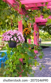 Vibrant Green Walkway To A Beautiful Outdoor Patio. Small Talk Vineyards, Niagara Canada