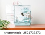 A vibrant hamster cage with wheels and accessories set against a backdrop of green leaves indoors