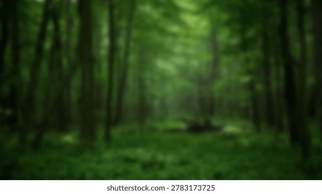 A vibrant image of a dense forest with tall trees and sunlight streaming through the leaves, creating a serene and natural atmosphere.