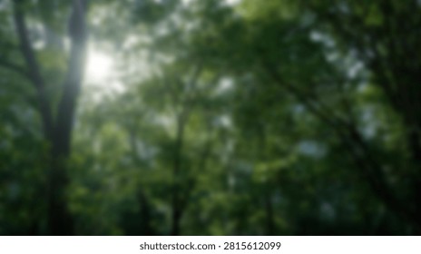 A vibrant image showcasing a dense forest canopy with sunlight piercing through the lush green foliage, creating a serene and natural atmosphere.