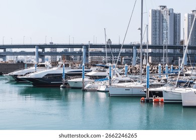 A vibrant marina featuring an array of yachts docked against a backdrop of urban architecture. Busan, South Korea
