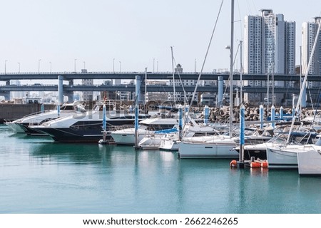 A vibrant marina featuring an array of yachts docked against a backdrop of urban architecture. Busan, South Korea