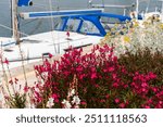 A vibrant mix of pink and yellow flowers in the foreground, with the blurred silhouette of a marina and a yacht.