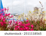 A vibrant mix of pink and yellow flowers in the foreground, with the blurred silhouette of a marina and a yacht.