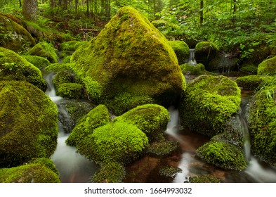 Vibrant, moss covered stones in moving Adirondack stream