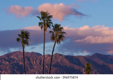 Vibrant nature background during a rare crisp, breezy afternoon. Photo taken from Pasadena, California, showing palm trees in the foreground and the San Gabriel Mountains in the background. - Shutterstock ID 396975874