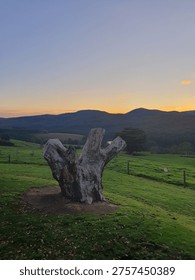 Vibrant orange sun setting over silhouetted hills and a rural fence line in Victoria, Australia.
