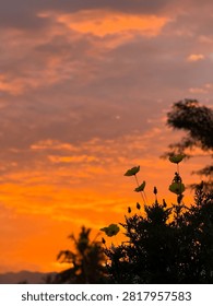Vibrant orange sunset sky with dramatic clouds and wildflower silhouettes.
