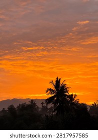 Vibrant orange sunset sky with dramatic clouds and wildflower silhouettes.