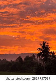 Vibrant orange sunset sky with dramatic clouds and wildflower silhouettes.