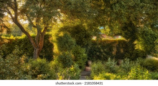 Vibrant Overgrown Garden With Various Plants And Copy Space. Lush Green Backyard With Flowering Green Bushes And Tall Trees. Different Herbs And Wild Flora Growing In A Domestic Yard Or In Nature