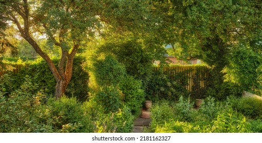 Vibrant Overgrown Garden With Various Plants And Copy Space. Lush Green Backyard With Flowering Green Bushes And Tall Trees. Different Herbs And Wild Flora Growing In A Domestic Yard Or In Nature