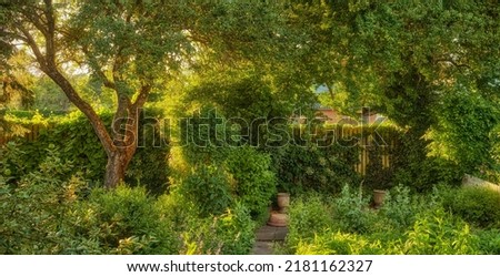 Vibrant overgrown garden with various plants and copy space. Lush green backyard with flowering green bushes and tall trees. Different herbs and wild flora growing in a domestic yard or in nature