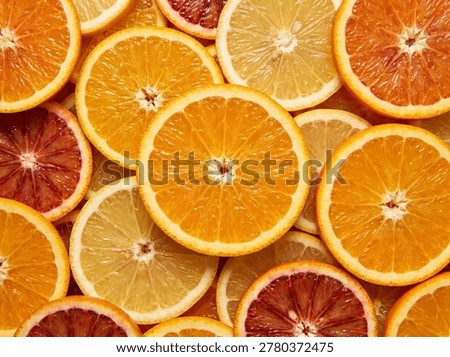 Vibrant overhead flat lay of various citrus slices including oranges, blood oranges, and lemons, showing colorful textures and pulp details