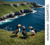 A vibrant pair of Atlantic puffins perched on a rocky cliff by the sea, their distinctive black-and-white feathers, colorful orange beaks, 