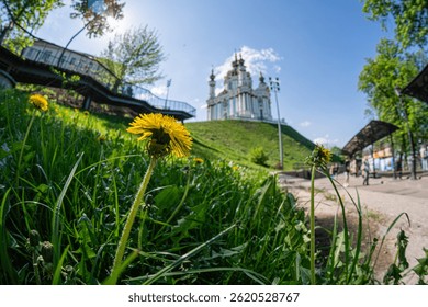 A vibrant park scene with two yellow dandelions, a serene background of a sloping lawn and small structure, a golden building, and blue sky