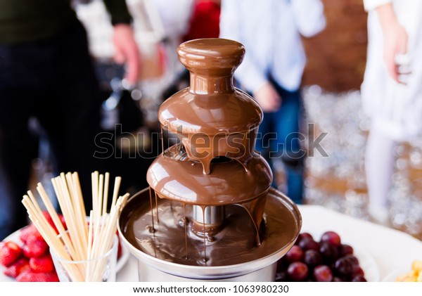 Vibrant Picture of Chocolate\
Fountain Fontain on childen kids birthday party with a kids playing\
around and marshmallows and fruits dip dipping into\
fountain