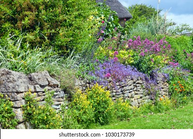 Vibrant Pink, Blue, Yellow Flowers In Full Bloom Growing Wildly Over Stone Wall In A Cottage Garden, Cotswolds, UK, On A Summer Sunny Day . Floral Display .