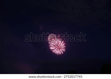 Vibrant pink fireworks exploding in the night sky with colorful trails
