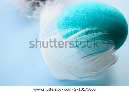 Vibrant Pysanka and Dyed Easter Eggs with Soft Feathers on Blue Background