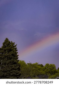Vibrant rainbow arcing across a dramatic purple and blue twilight sky over lush green deciduous and evergreen trees in a suburban landscape