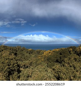 A vibrant rainbow arcs across a blue sky, stretching above lush green trees and the distant ocean horizon, creating a stunning natural scene. - Powered by Shutterstock