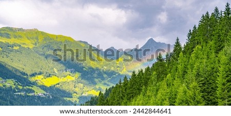 A vibrant rainbow arcs through the mist above a dense, green forest with mountain peaks in the distance.