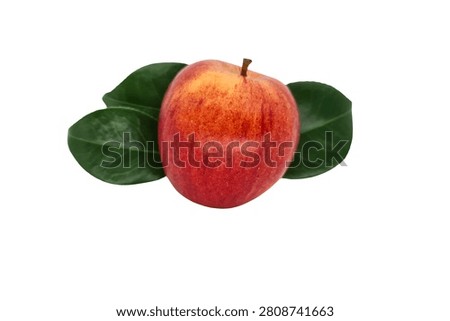 A vibrant red apple with two green leaves on a white background
