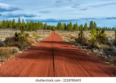 Vibrant Red Dirt Road Scenic Byway Through Sagebrush And Pine Trees In Outback Oregon Desert Landscape